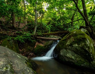 Obraz premium Serene landscape with small waterfall flowing over mossy rocks in lush forest