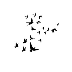 Flying Birds Silhouette Vector Set for Tattoo and Nature Art Design