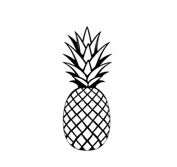 pineapple vector illustration