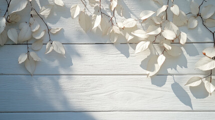 White leaves casting soft shadows on textured wooden wall create serene and minimalist composition. natural light enhances delicate details of leaves and wood grain