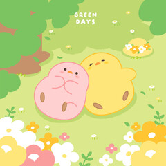 green days for chicks