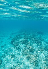 Obraz premium Underwater Coral Reef Scene Vibrant Blue Clear Ocean Water