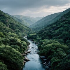 Serene river winding through lush green mountains