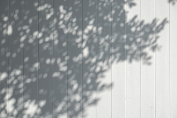Light and shadow, showcasing the dappled sunlight filtered through palm fronds onto a textured, light-colored surface. Natural leaf shadows on white wall for background design for text.