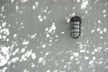 Light and shadow, showcasing the dappled sunlight filtered through palm fronds onto a textured, light-colored surface. Natural leaf shadows on white wall for background design for text.