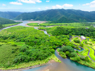 住用川マングローブ原生林（鹿児島県 奄美大島）