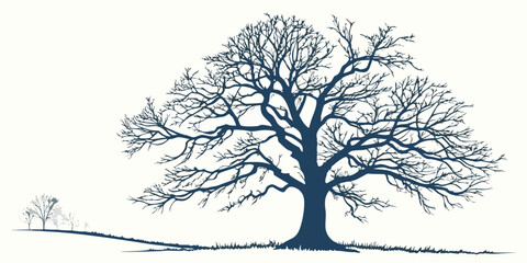 Minimalist Winter Oak Tree Silhouette - Intricate Bare Branches Vector Illustration
