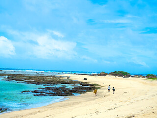 夏の土盛海岸（鹿児島県 奄美大島）
