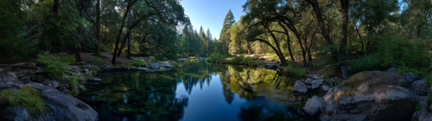 Obraz premium Serene forest hdr 360° reflection scene