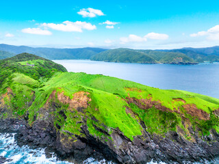 Obraz premium 宮古崎 ササントウ（鹿児島県 奄美大島）