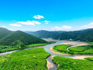 住用川マングローブ原生林（鹿児島県 奄美大島）