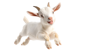 A playful young goat leaps joyfully, showcasing its energy and adorable features in a bright and cheerful setting.