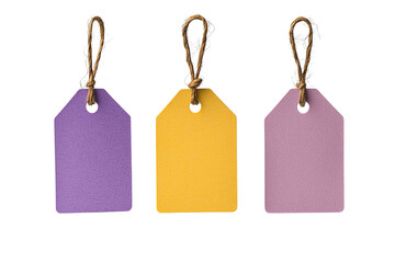 Colorful tags in various hues, ideal for labeling items, enhancing organization, or decorating gifts with personal touches.