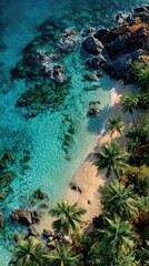 Tropical Coastline Aerial View