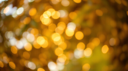 Obraz premium Blurred bokeh effect on creative light art of leaves