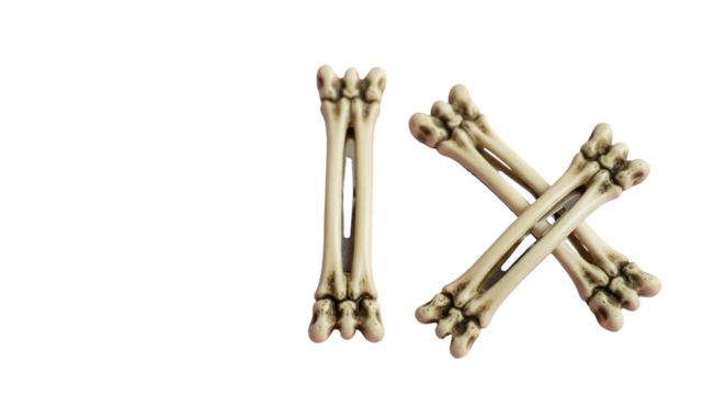 Spooky bone-shaped hair clips add a touch of macabre fun to any hairstyle, perfect for Halloween or themed parties