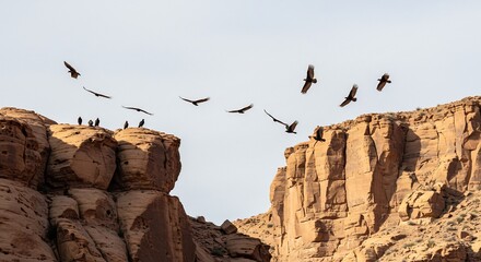 荒涼たる峡谷を舞う猛禽類 夕陽染まる岩肌 力強く滑空する影. AI Generated