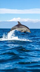 Fototapeta premium Dolphin leaping from ocean waves, clear blue sky and distant clouds