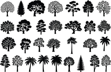 Vector tree silhouette collection, black forest tree icons, nature clipart set, editable landscape graphics, foliage shapes, flat plant design