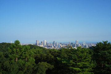 Fototapeta premium panoramic view of the city