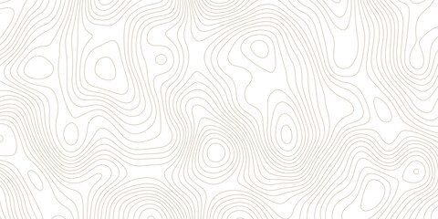 seamless topographic map pattern on a white background featuring abstract contour lines  creating an abstract and visually appealing design art piece