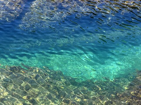 Sea transparent water surface with underwater seagrass algae.