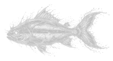 Black and white hand-drawn sketch of a fish, a simple illustration of a sea animal for a wildlife or seafood icon