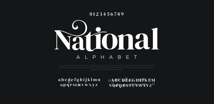 National creative modern stylish calligraphy letter logo design