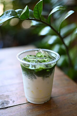 A refreshing iced matcha latte in a clear plastic cup on a wooden table, with lush green foliage in the background. The beautiful layers of vibrant green matcha and creamy white milk
