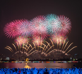 夜空を彩るカラフルな花火と観客のシルエット