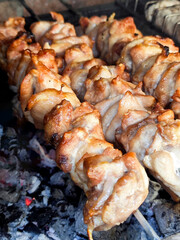  A close-up shot of several chicken kebabs grilling over hot charcoal on a barbecue. The meat sizzles, creating a delicious aroma, perfect for summer outdoor parties