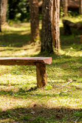 A bench is sitting in a grassy field. The bench is made of wood and is located in the middle of the field