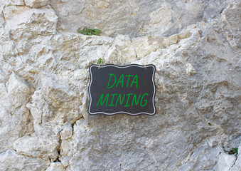 Data Mining symbol. Stone wall with words Data Mining. Beautiful stone background. Business and...