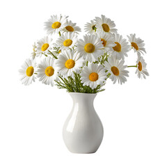 A vase filled with a bunch of white daisies on a black background in a studio shot