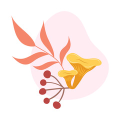 Edible mushrooms chanterelle and autumn leaves. Autumn harvest and gifts of the forest. Vector illustration.