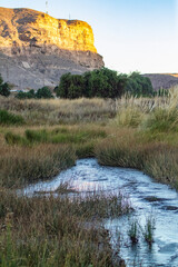 Loa River in the Lasana Valley, winding through the Atacama Desert