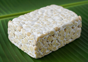 Fresh Tempeh Block