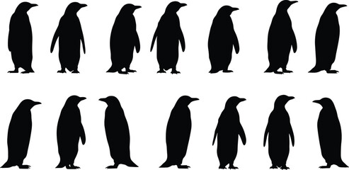 Collection of twelve different black silhouettes of penguins, showcasing their iconic upright stance and waddling posture, for polar and arctic themes.