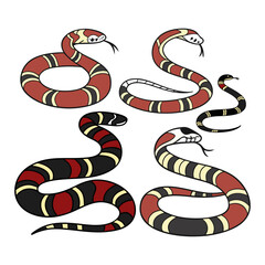 Naklejka premium Illustrated Collection of Arizona Coral Snakes with Unique Patterned Skin