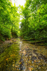 Fototapeta premium Waterfall with ladder in canyon, sucha bela in Slovak Paradise or Slovensky Raj National Park in Slovakia.