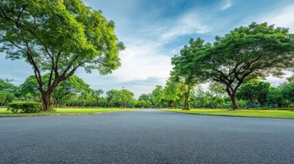 Fototapeta premium Scenic Park Landscape Featuring Lush Green Trees and Open Asphalt Space Under a Bright Sky
