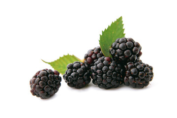 Blackberries fruits in group with leaves closed up isolated on white