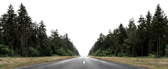Straight asphalt road through forest, isolated on transparent cutout background