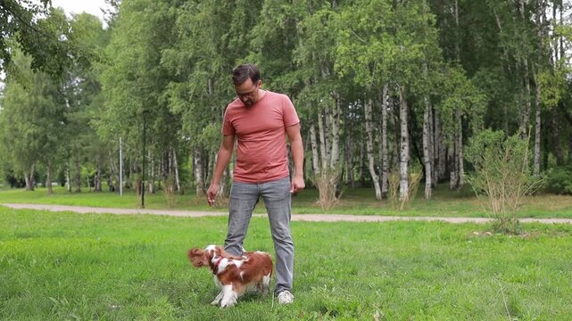 A dog is performing commands from its owner outdoors in the park. This is a great example of interaction between a person and a pet. The concept is pet care, zootherapy.