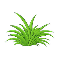 Grass Illustration Element