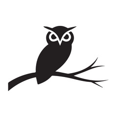 owl on white background