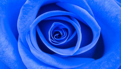 Close-up of a vibrant blue rose (2)