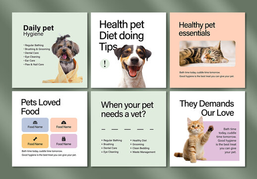 Pet Care Social Media Post Templates