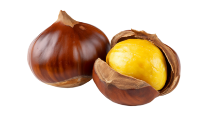 A pair of fresh chestnuts from the fall harvest season isolated on a transparent background