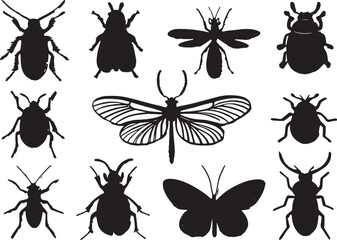 flat insect silhouettes collection on a white background